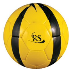 Fustal ball